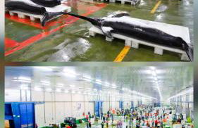 Apartamento Urban Camelias Vigo - Foto 32