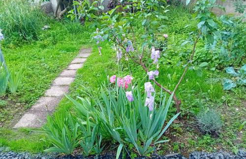 Maison Alfred - Foto 3