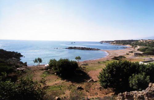 Zorbas Rooms - Photo 21