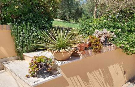 Fattoria Adriatica - Foto 6