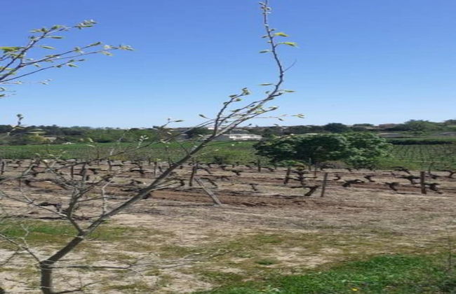 Comfortable Apartment in Lablachere With Terrace in Ardeche - Foto 54