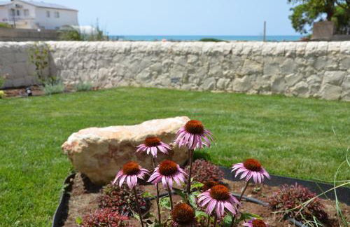 Sabbia Dorata - Foto 19