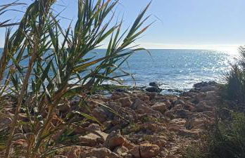 Apartamento Luna - Foto 29