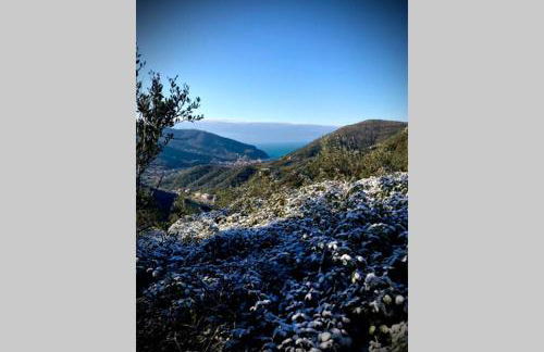 Casa Sara, Levanto, in collina ad un passo dal mare! - Foto 20