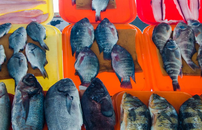 Visite du marché de Chorrillos + Cours de cuisine péruvienne - Photo 6