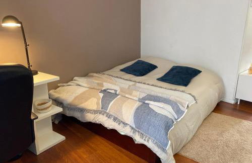 Studio miroir-arrivée autonome-animal ok - Photo 21