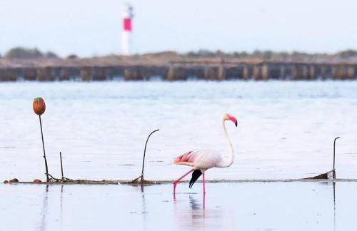 Casa2patis - Foto 46