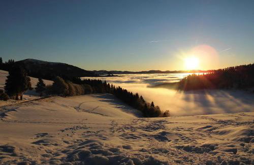 Steiert Panorama Apartments Todtnau - Foto 15