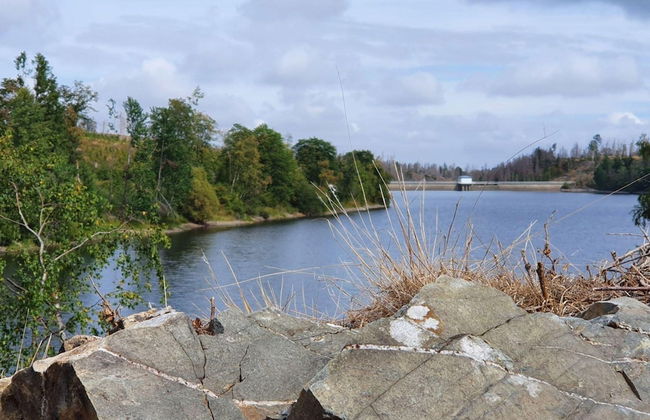 Forest Stay in Elbingerode - Foto 22