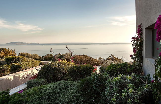 Marathon Blue - Foto 36