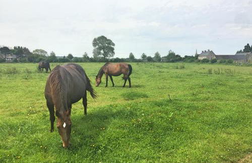 Le Pressoir de la Gervaiserie - 300m de la plage - Foto 24