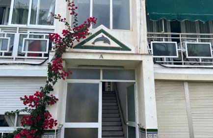 Delfín verde - Foto 20