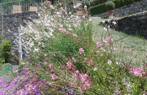 Villa Migliorati - Foto 35