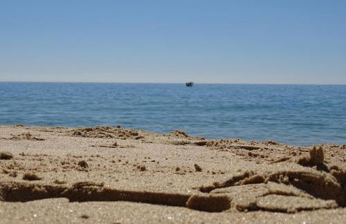 Casa Afonso Henriques - Photo 47