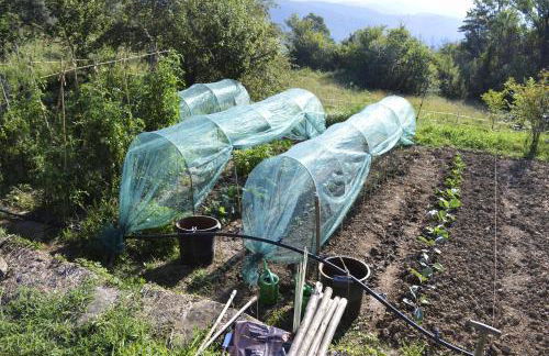 Rectoría de Castellar - Foto 45