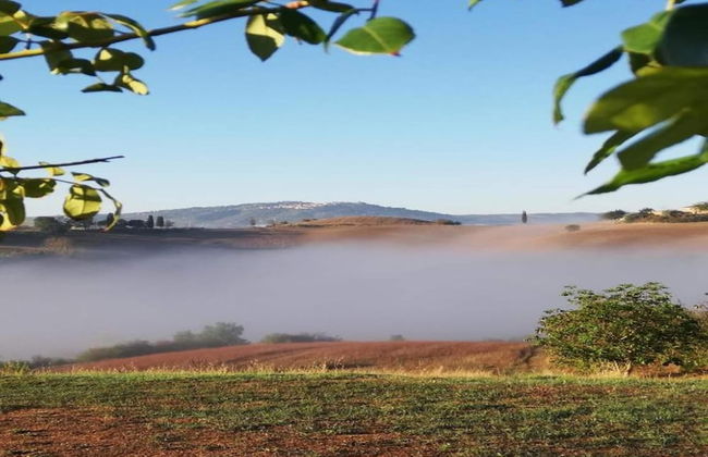 360 Degree View of the Tuscan - Foto 34