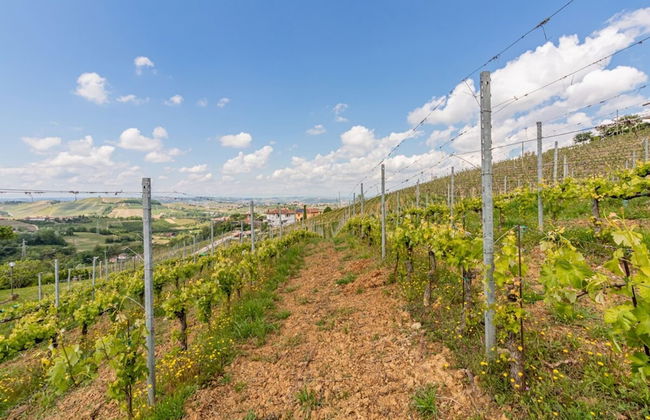 Panorama Villa Nestled Among the Vineyards Langhe - Foto 43