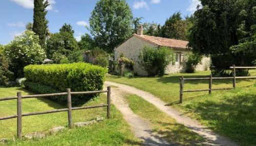 Les Coquilles Pourpres - Foto 3