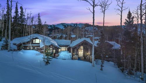 Snow Meadow at The Colony - Foto 4, Other