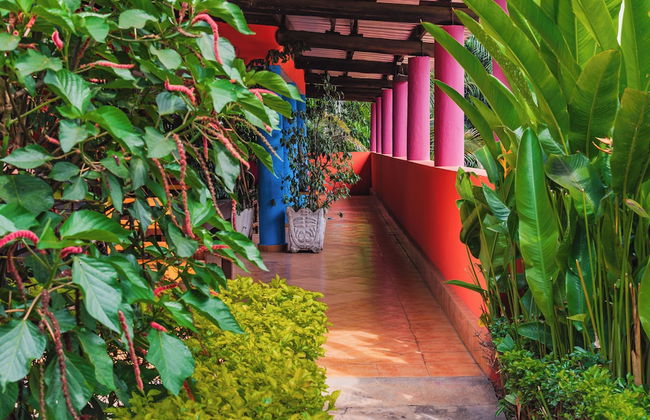 Aparthotel Jardin Tropical - Foto 27