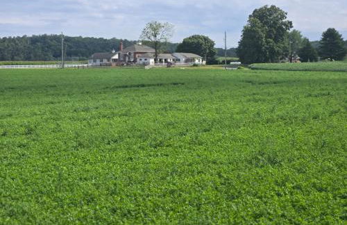 Amish Country Stay w/ Buggy Ride - Foto 11