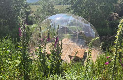 Little Getaway in the Highlands, private sauna and stargazing geodome - Foto 24