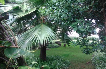 Casita del Medianero - Foto 25