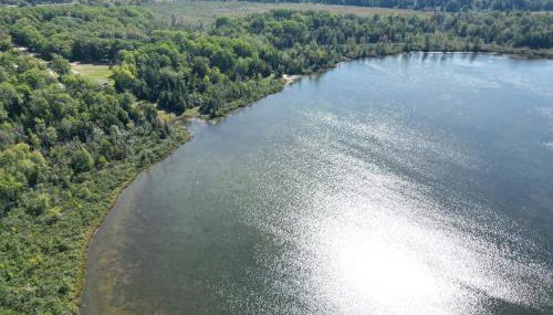 Cozy Private Log Cabin on acreage - Foto 2