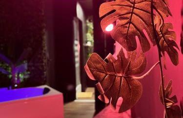 Amazonia Suite - Starry Sky & Spa Bath - Foto 16