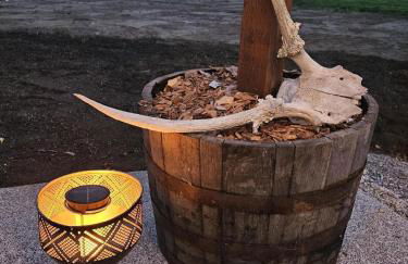 Stunning Mt Rainier Views!tahoma Ridge Cottage - Foto 51