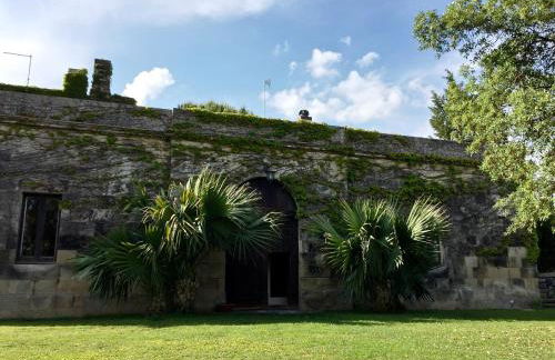 Tenuta Sant'Andrea - Foto 40