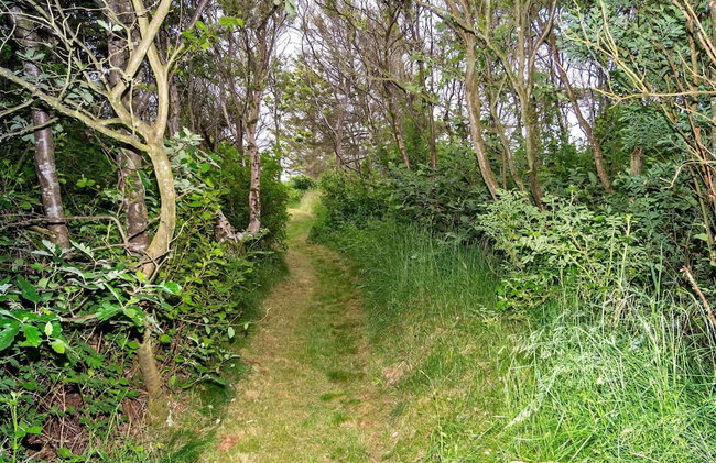 6 Person Holiday Home in Hurup Thy - Foto 25