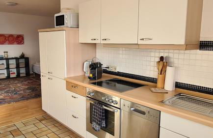 Wohlfühlwohnung Sonnenterrasse E Auto Ladestation - Foto 35