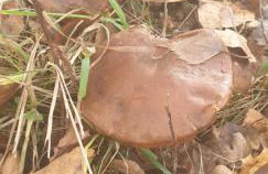 Malowniczy Zakątek w Dercu - Foto 29