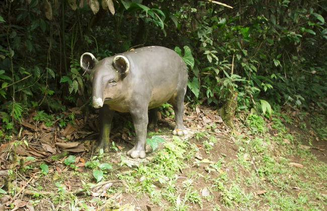 Villas Josipek - Foto 76