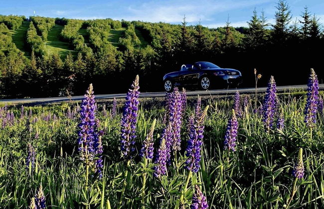 St-Sauveur Lovely Studio - Photo 50