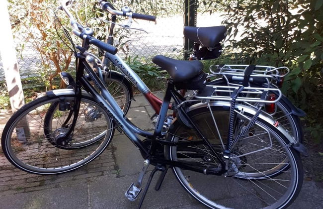 Relax in Your Holiday Home With Sauna, Near the Beach of Noordwijk - Foto 18