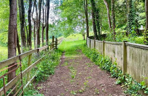 Court Place - Photo 18