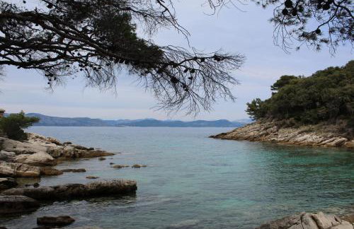 Apartmani Marija Mljet - Foto 8