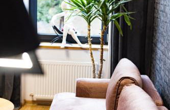 Apartamenty Częstochowa pod Jasną Górą Teresy 4-2 parking gratis - Photo 8