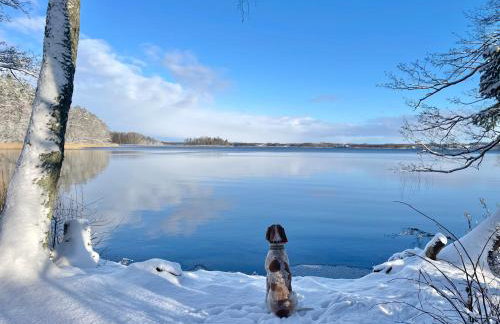 Żurawi klangor - dom z sauną i jacuzzi - Foto 34