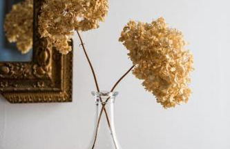 Maison Saint Antonin - Foto 11