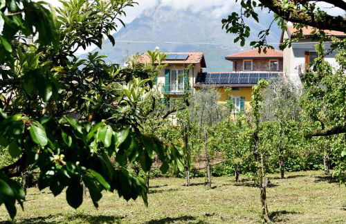 Agriturismo Conca Sandra - Farm Stay on Lake Como - Foto 37