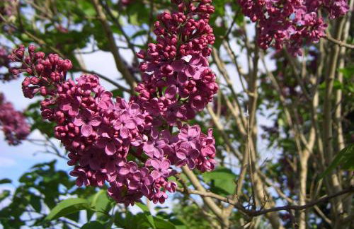 Appartments Neuhof - Photo 45