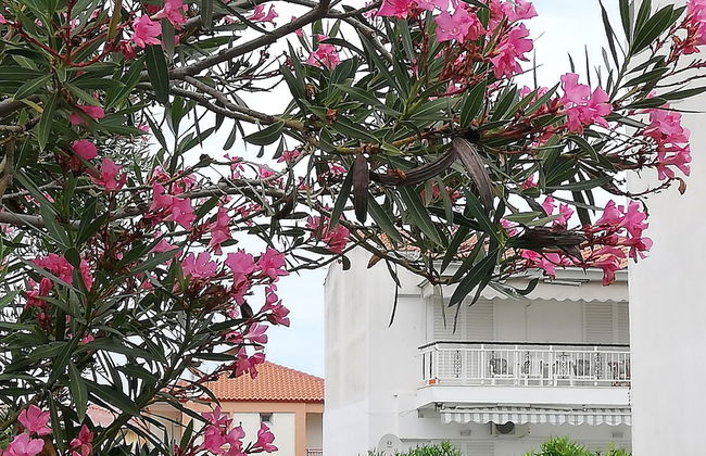 Hanioti Apartment - Foto 14