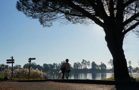 Forest Terrace Praia de Mira - Foto 33