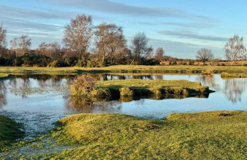 Beautiful New Forest Hideaway - Foto 29