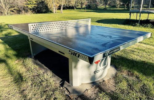 L hirondelle - Foto 13