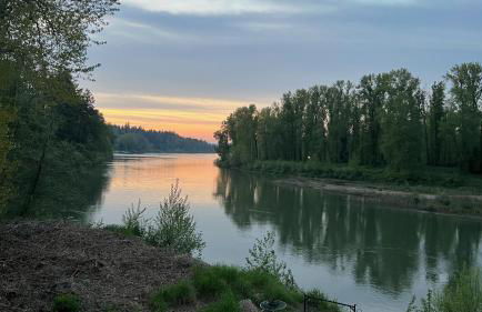 Blue Heron Sanctuary & Serene, river-front cottage - Foto 59