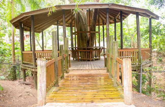 The Blue Mahoe Treehouse - Photo 15